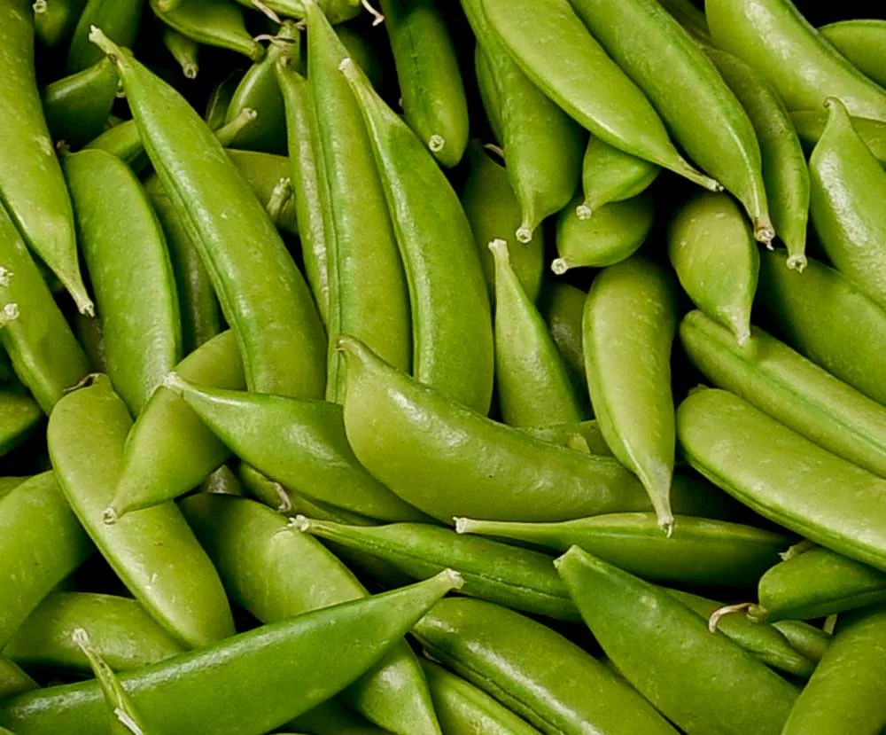 Arveja dulce (Sugar Snap)